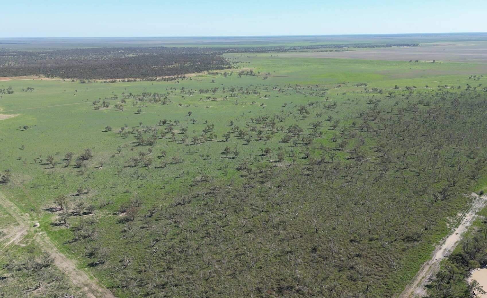 rural property for sale NSW