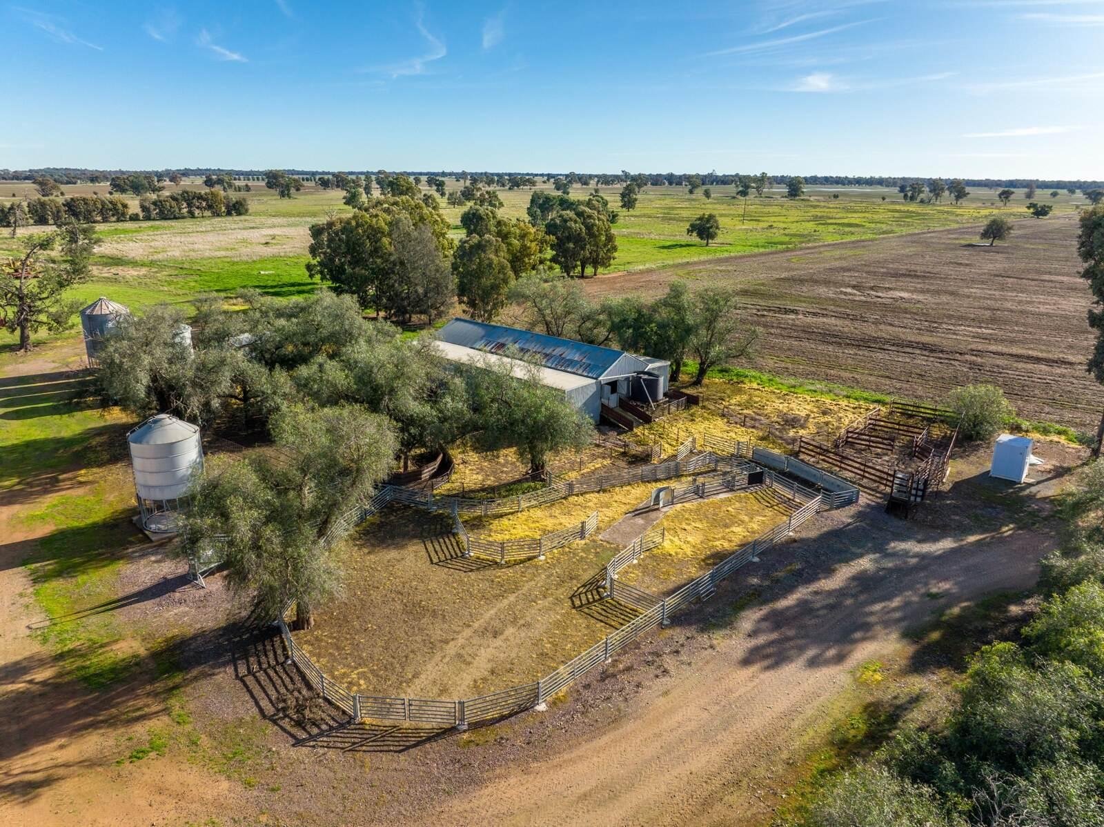 Farm For Sale NSW