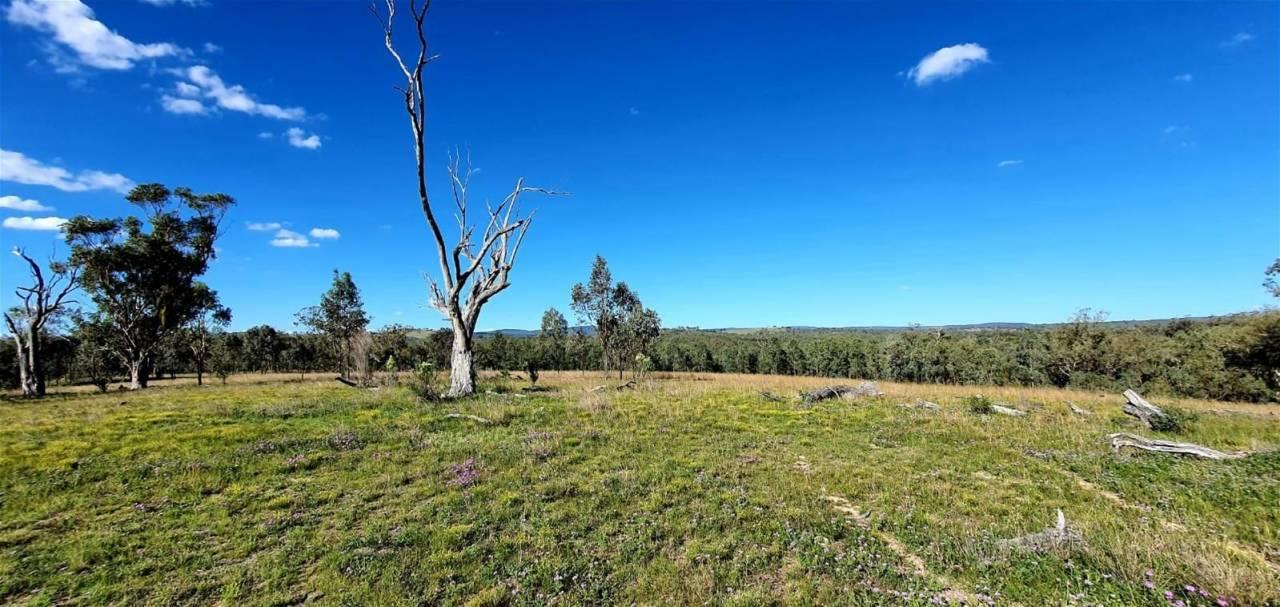 Farmbuy Finds Success In Northern Queensland