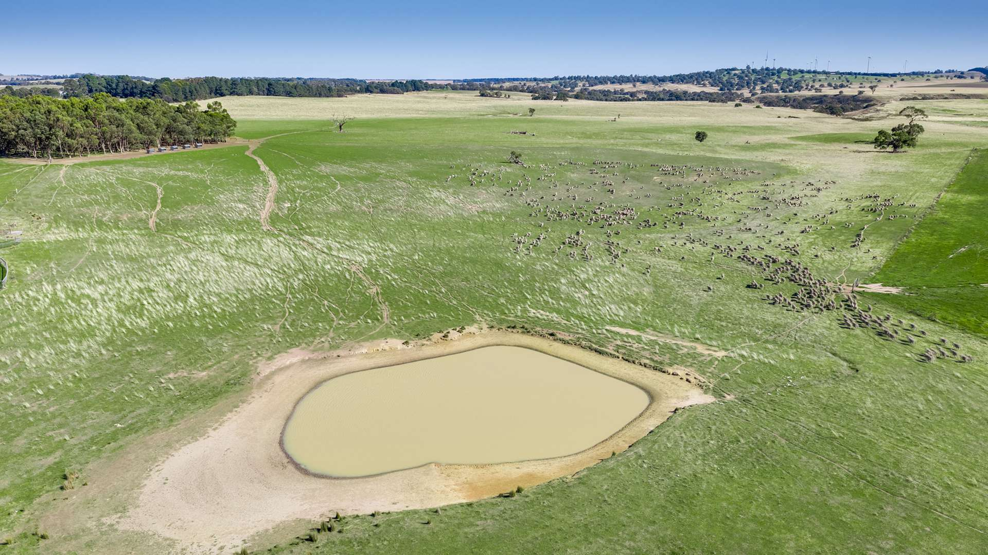 Cattle Property For Sale VIC
