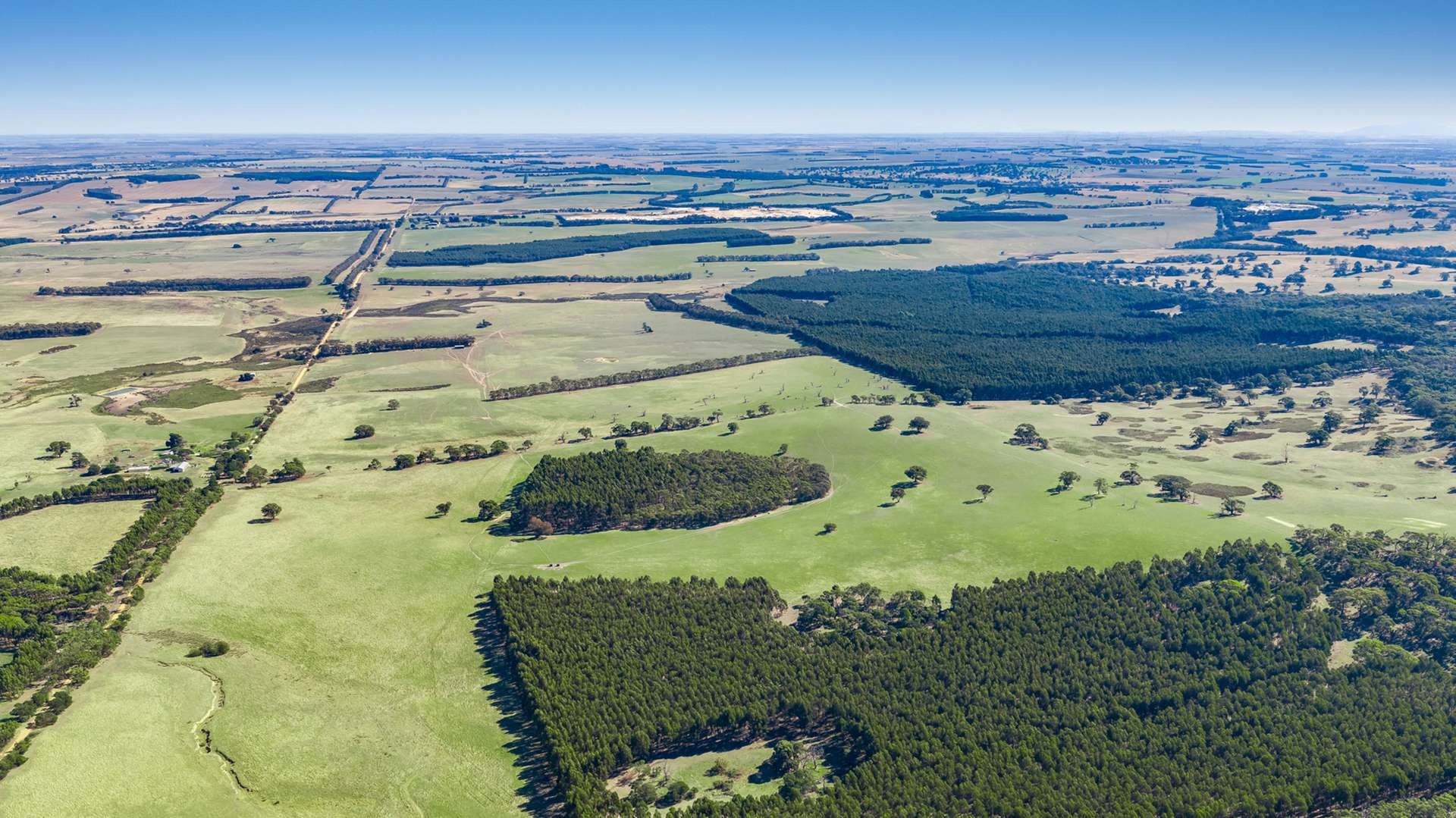 Cattle Property For Sale VIC