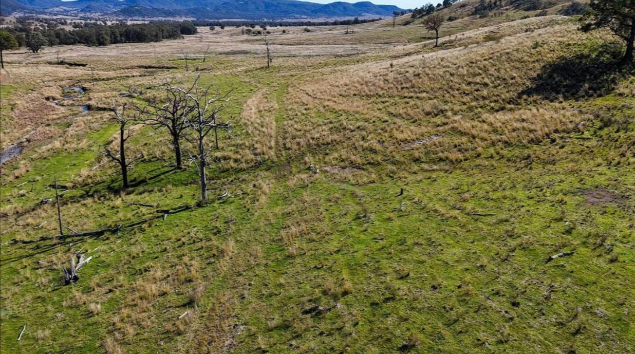 rural property for sale NSW