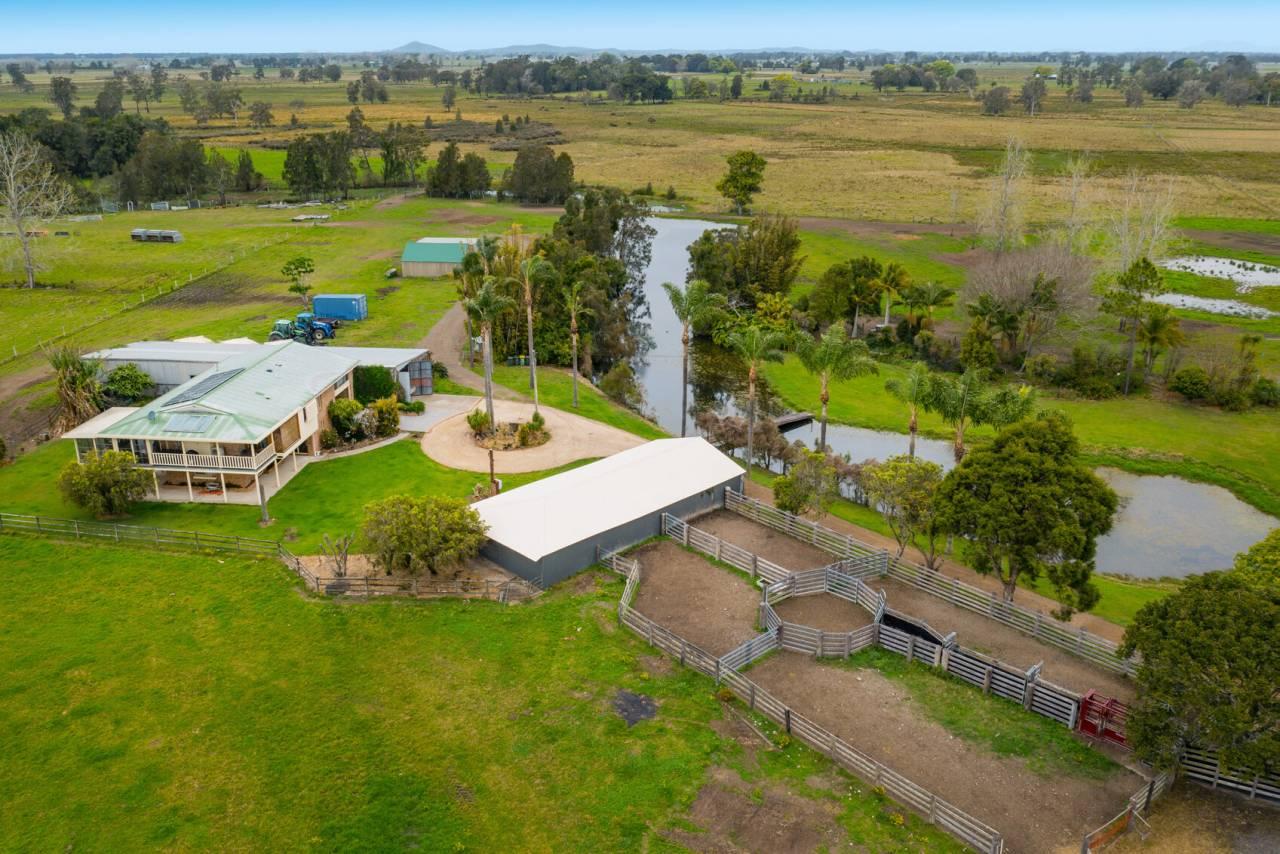 Cattle Farm For Sale NSW