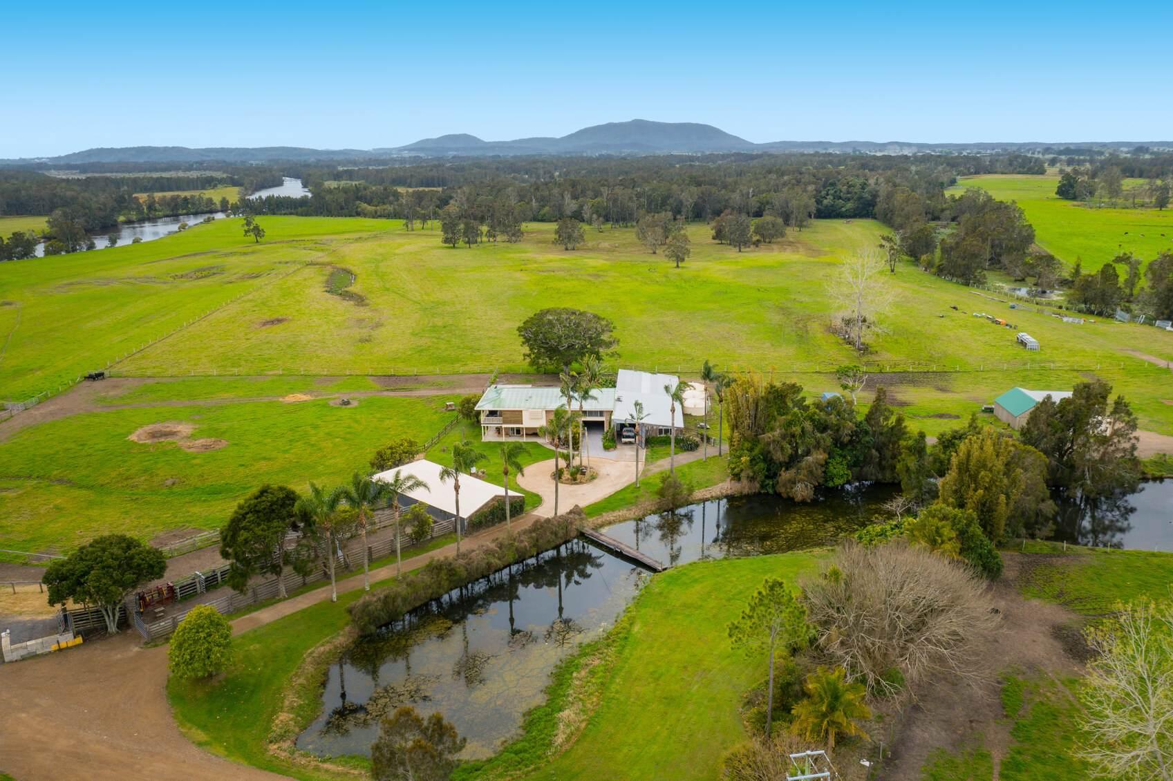 Cattle Farm For Sale NSW