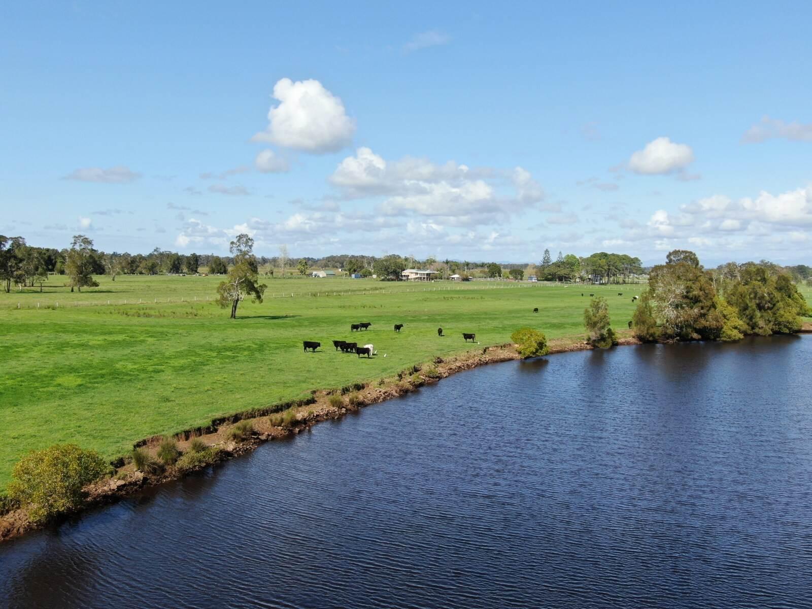 Cattle Farm For Sale NSW