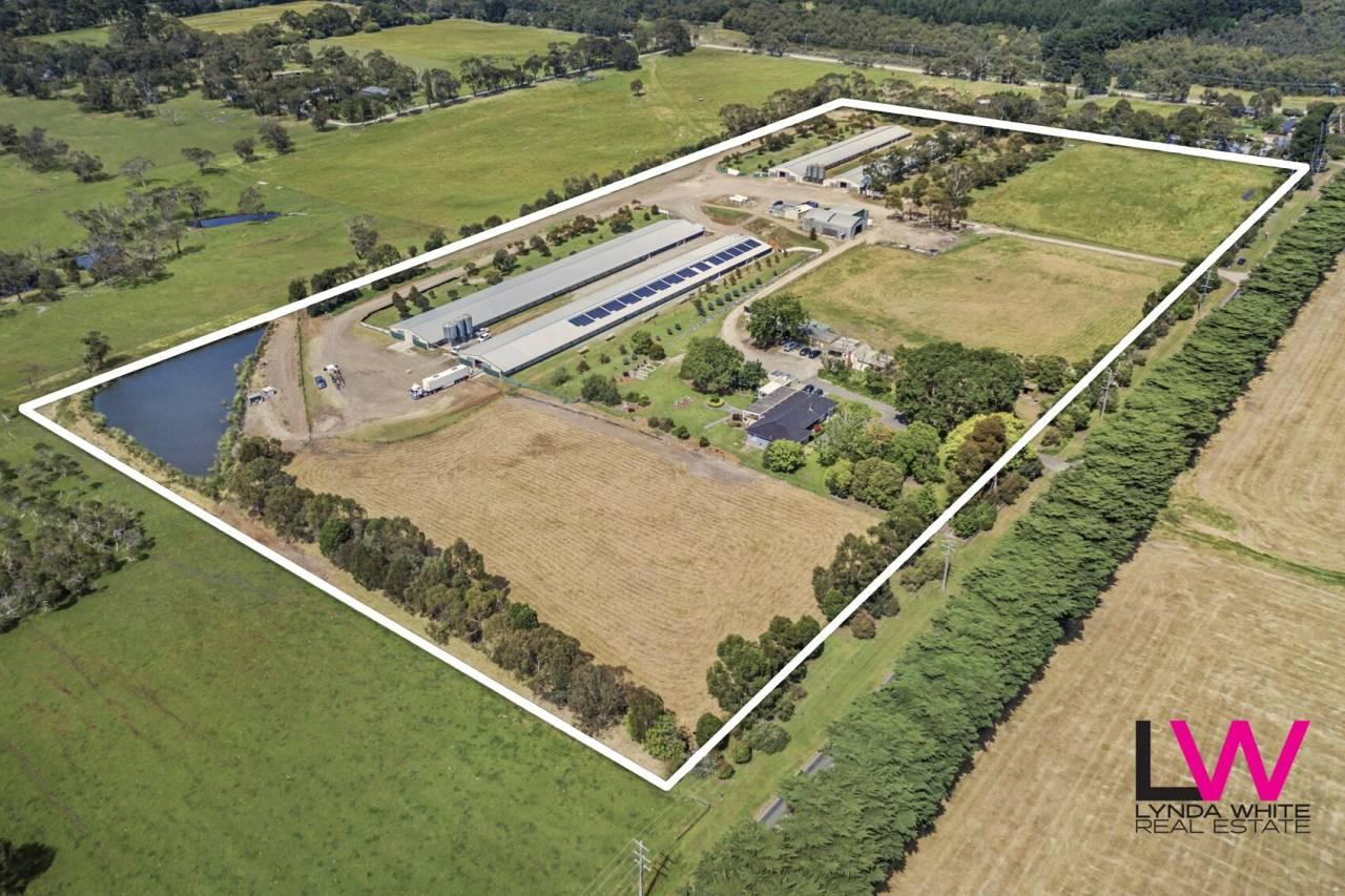 Chicken Farm For Sale Mornington Peninsula