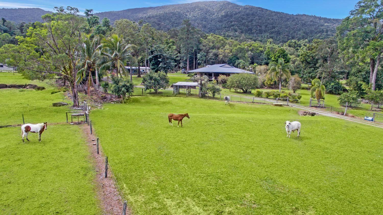 Property For Sale Cairns