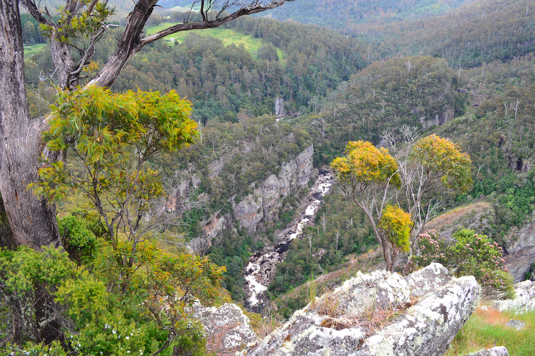 Farms For Sale Tasmania 