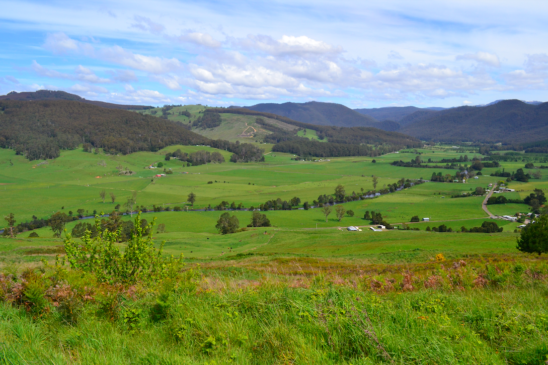 Farms For Sale Tasmania 