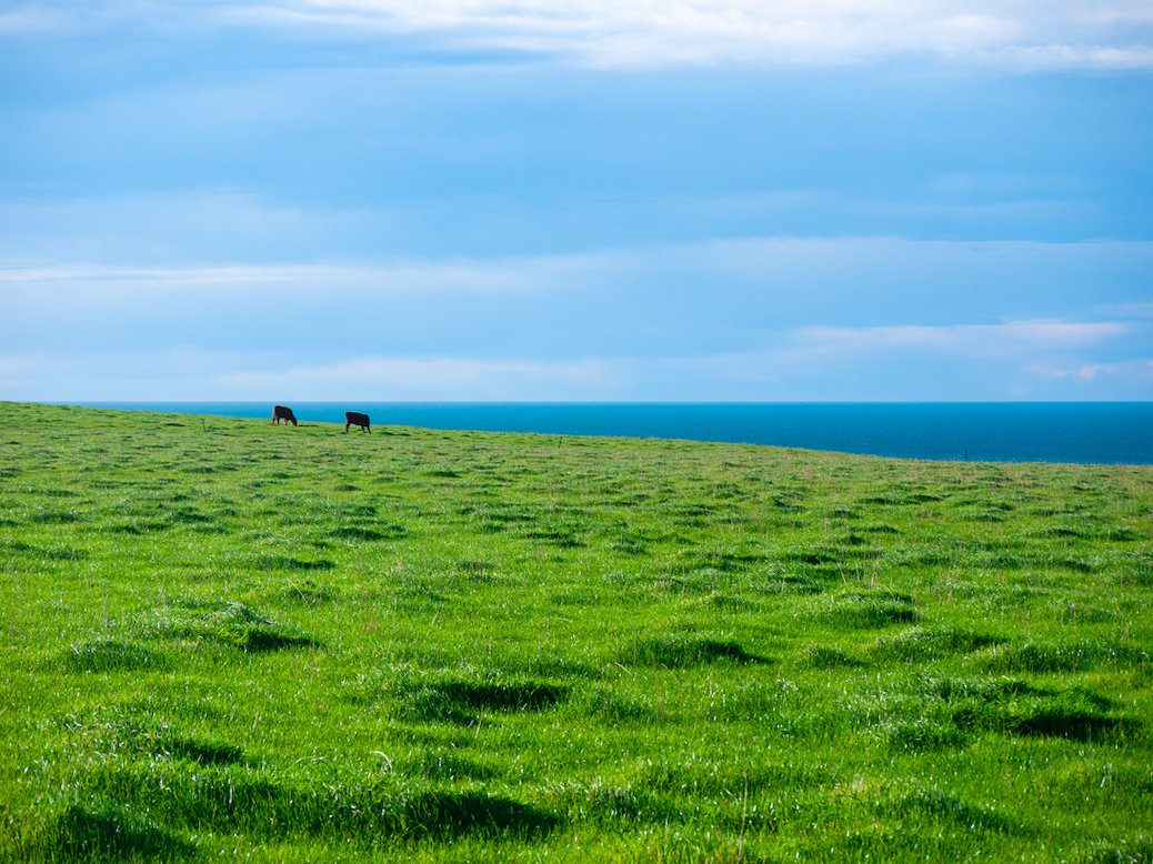 Acreage For Sale In Tasmania