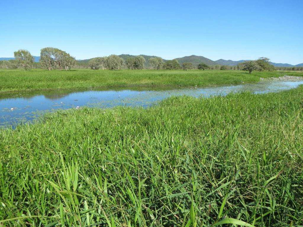 Cattle Property For Sale North QLD