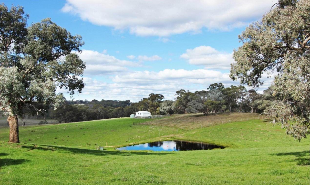 Rural Properties For Sale Bendigo VIC