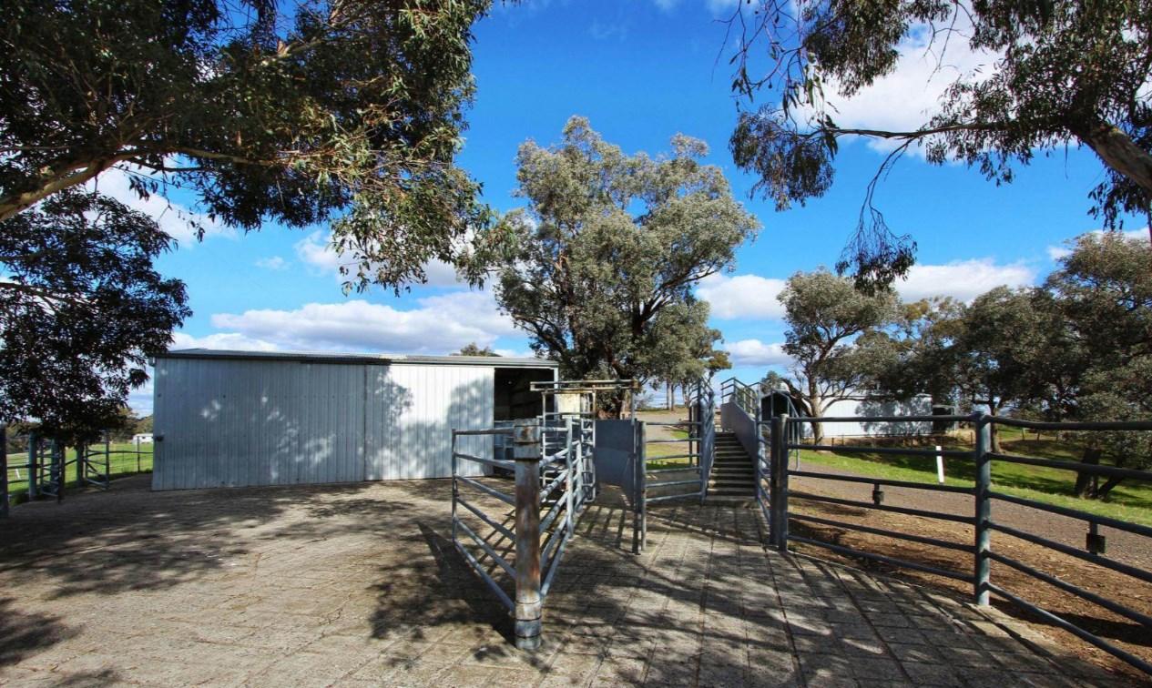 Rural Properties For Sale Bendigo VIC