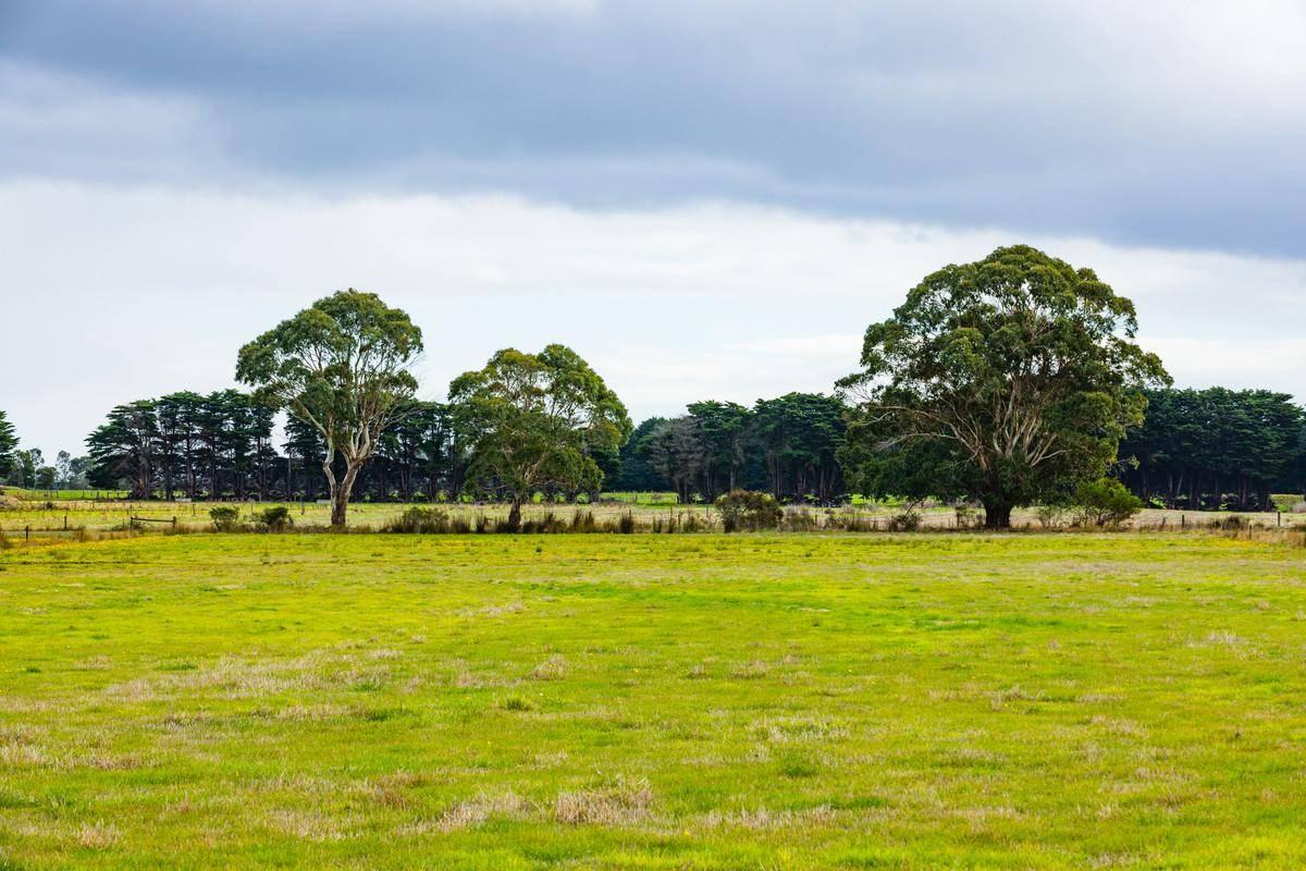 rural property for sale Colac region