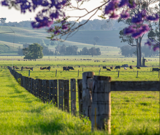 Rural Properties For Sale Grafton NSW