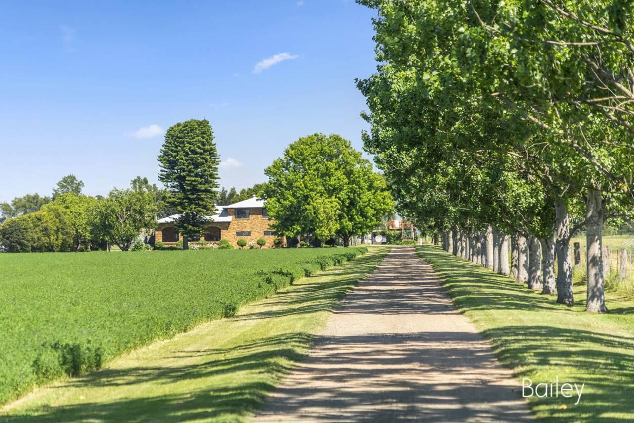 Rural Property For Sale Hunter Valley Record Seven Years of Price Growth