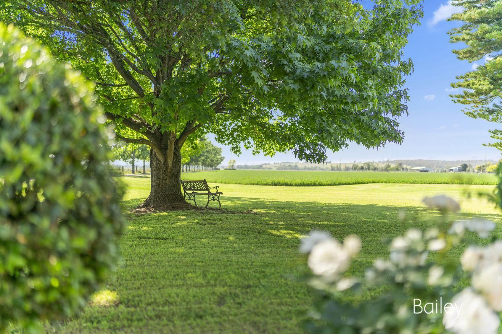 Rural Property For Sale Hunter Valley Record Seven Years of Price Growth