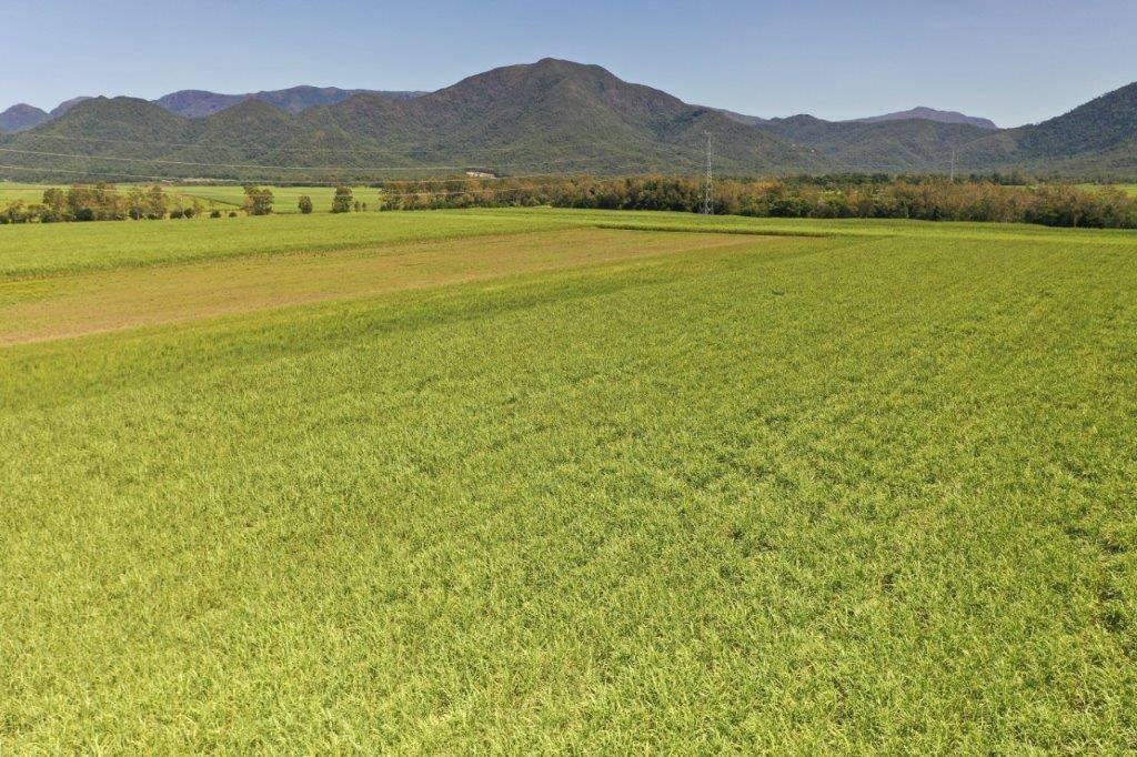 Rural Properties For Sale North QLD