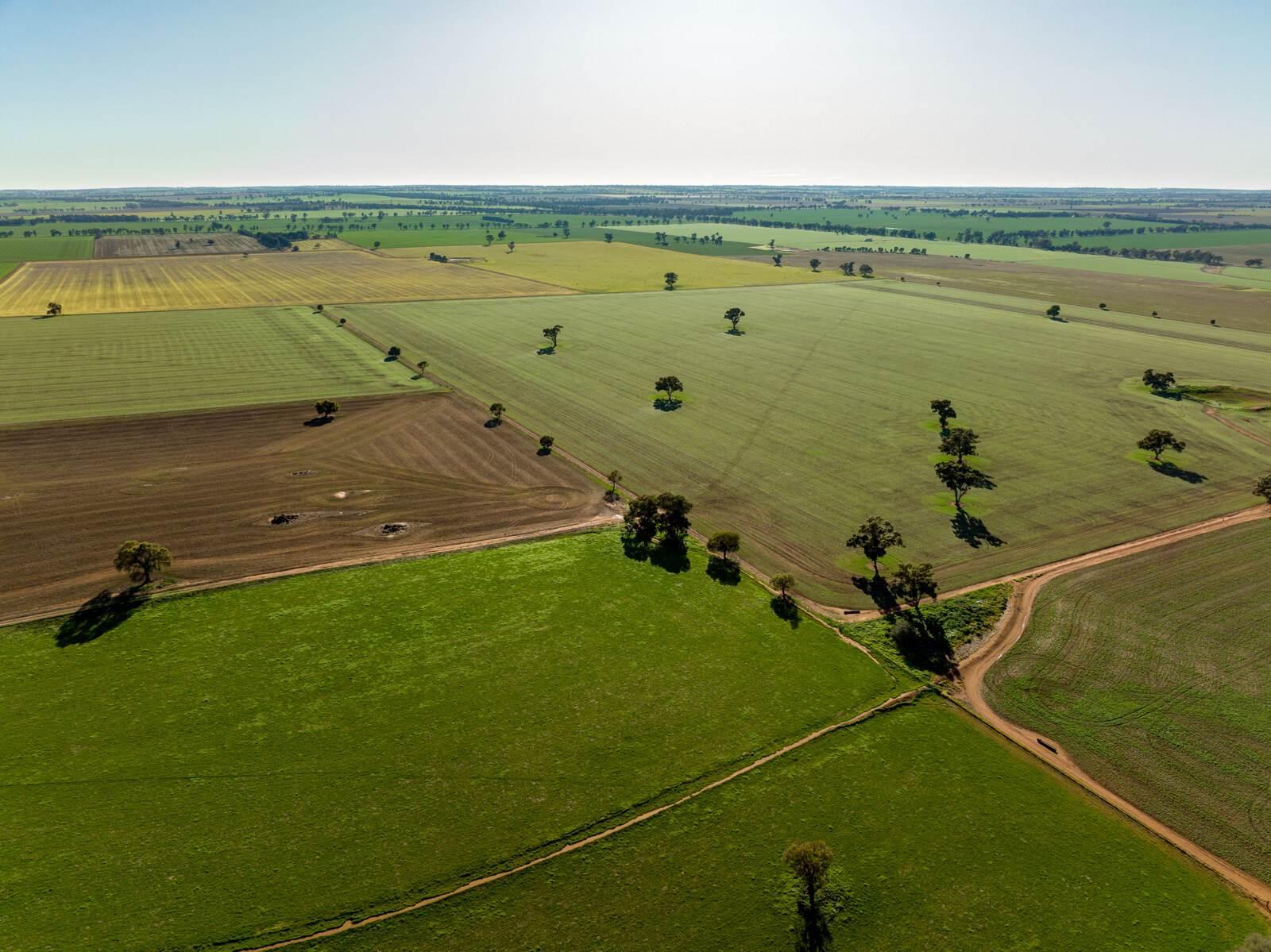 Rural Properties For Sale Riverina NSW