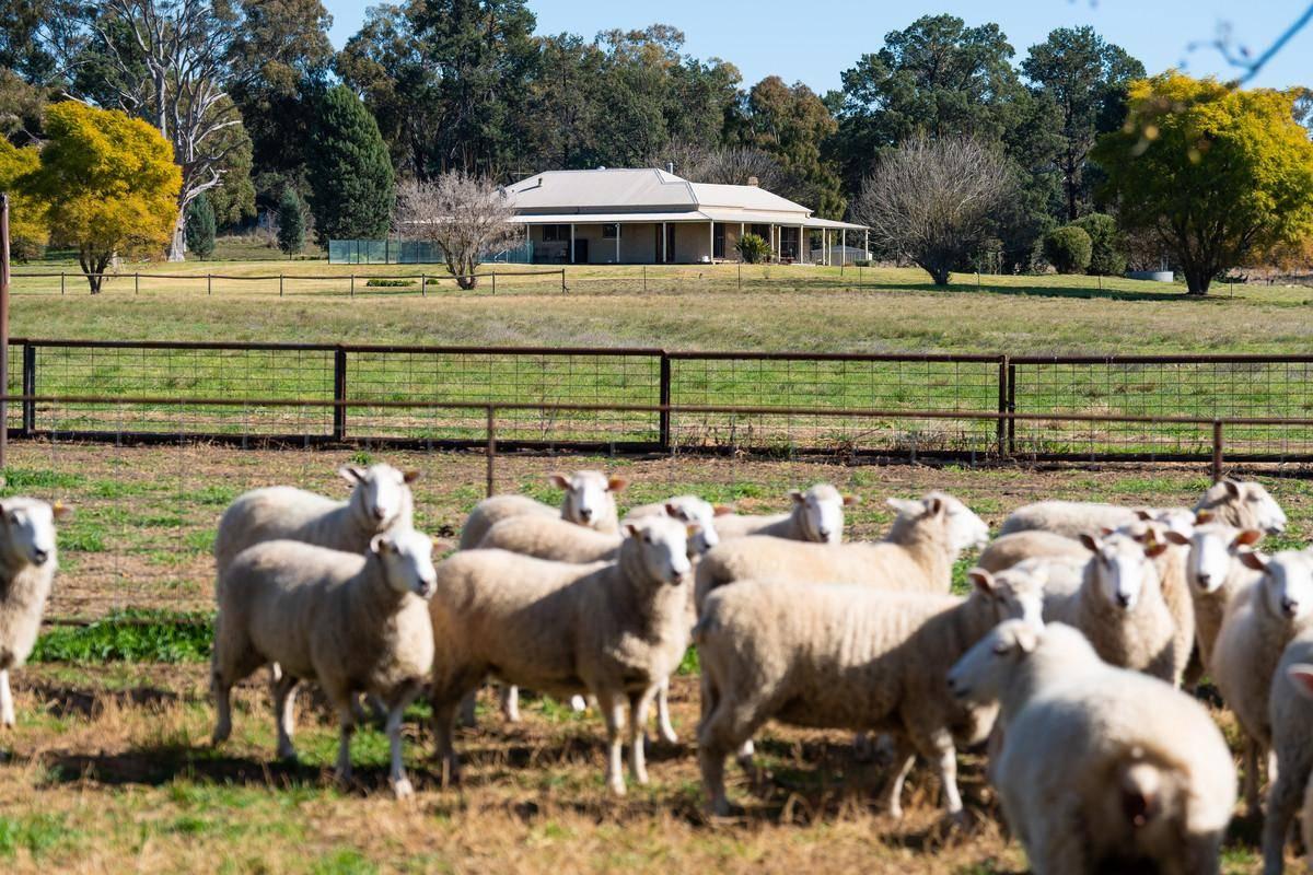 Rural Properties For Sale Riverina