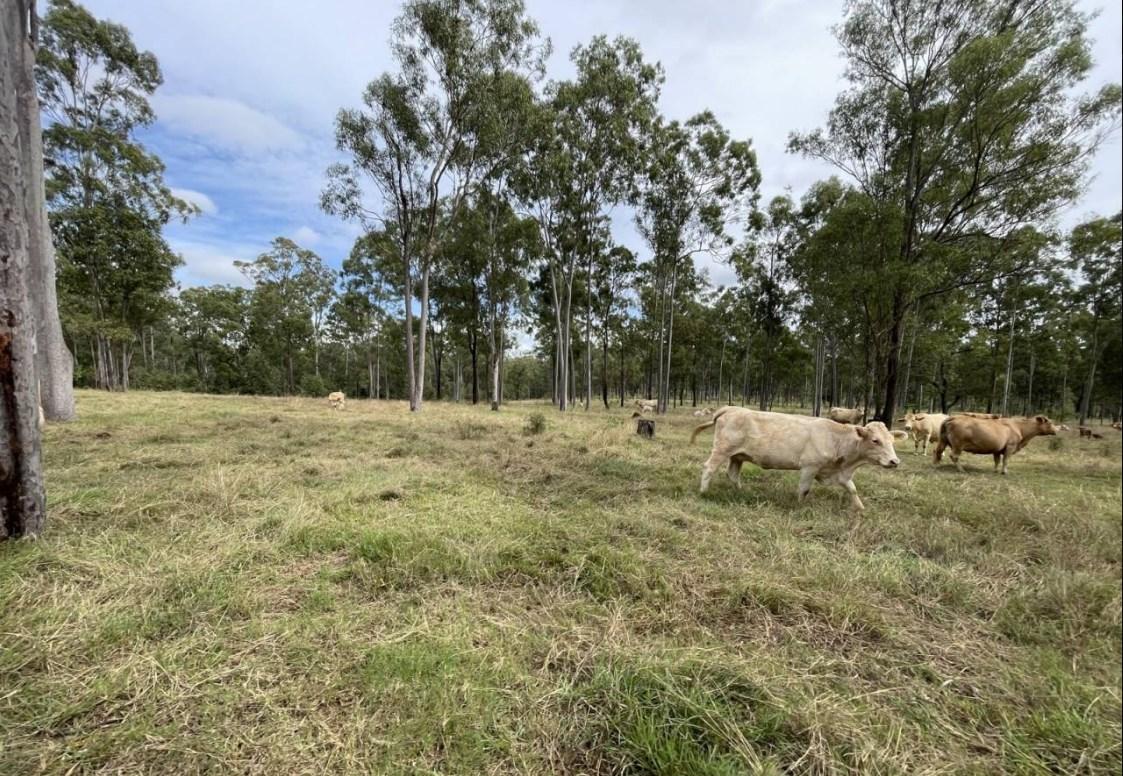 Rural Properties For Sale Wide Bay Region