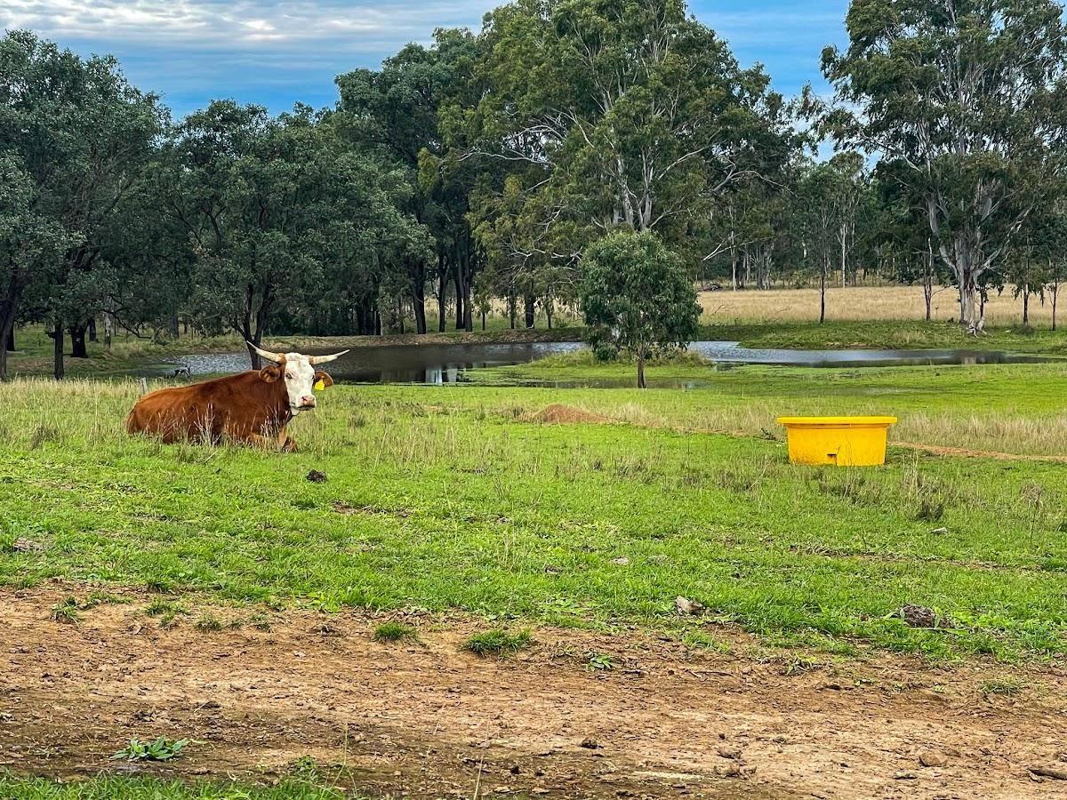 Rural Properties For Sale Wide Bay Region