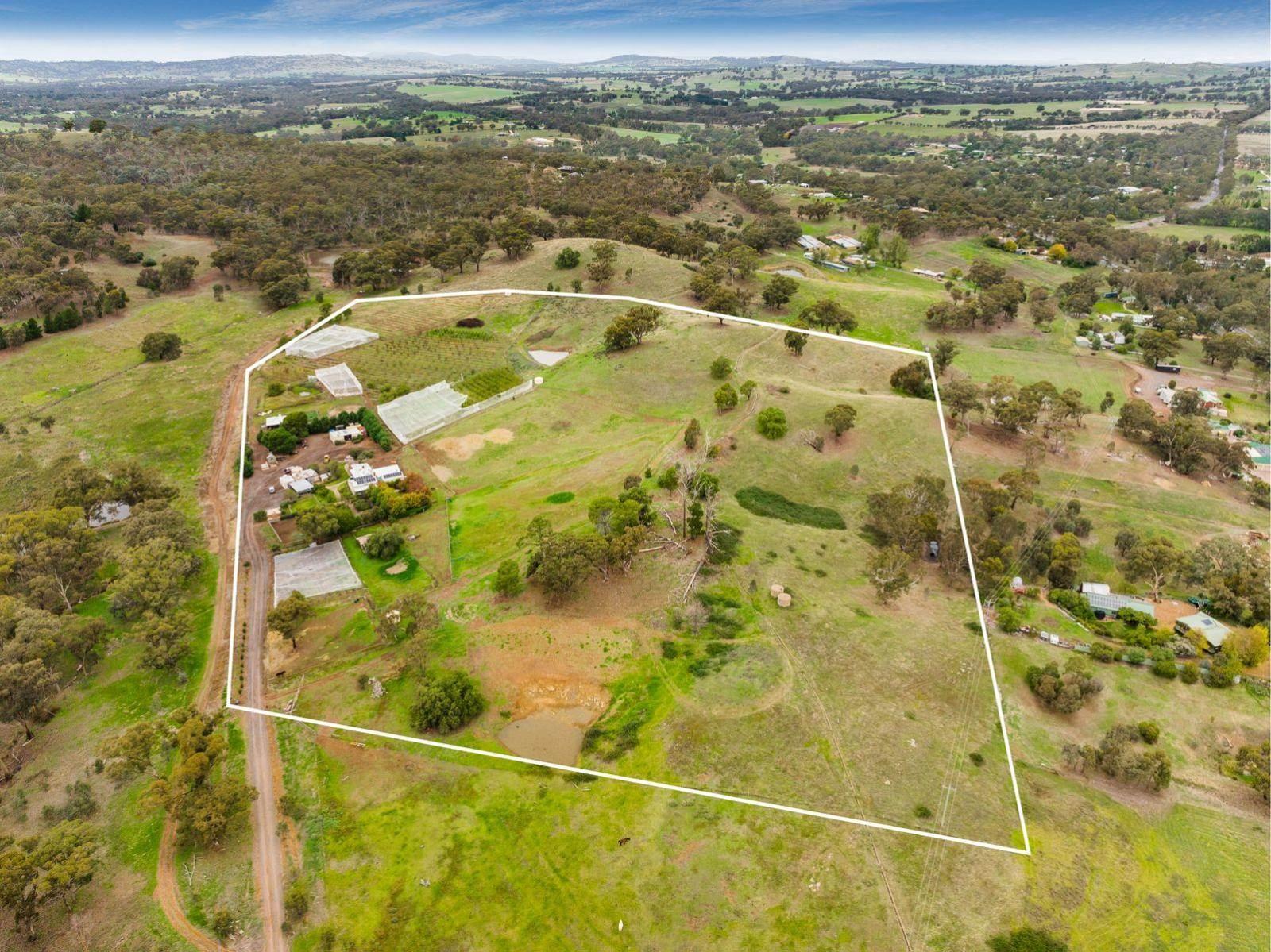 Rural Property For Sale Bendigo ‘Hillcrest’ Cherry Farm