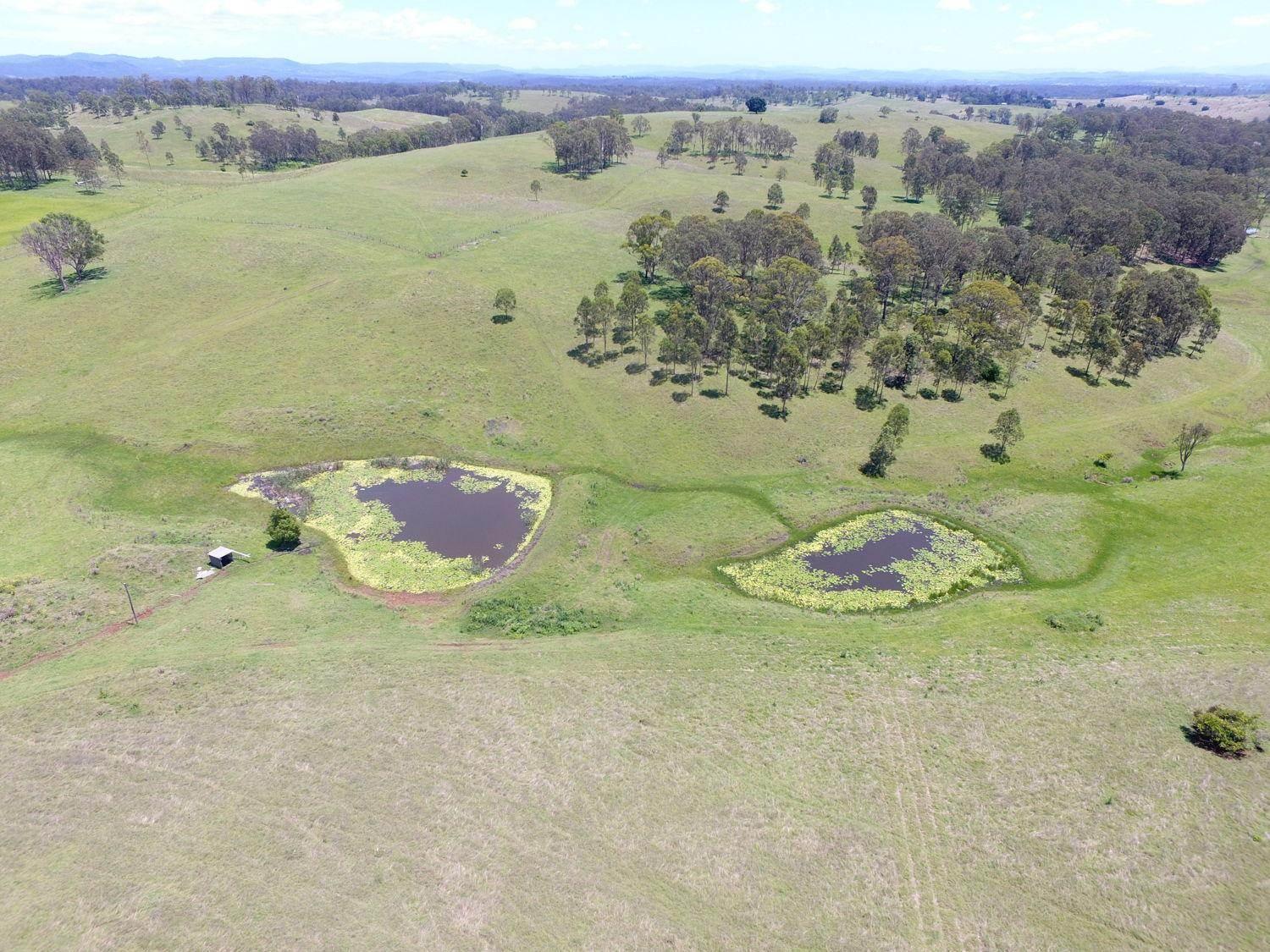 Rural Property For Sale Casino NSW