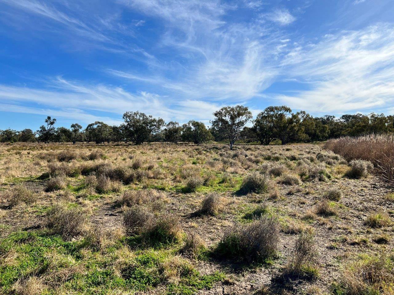 Rural Property For Sale Coonamble NSW