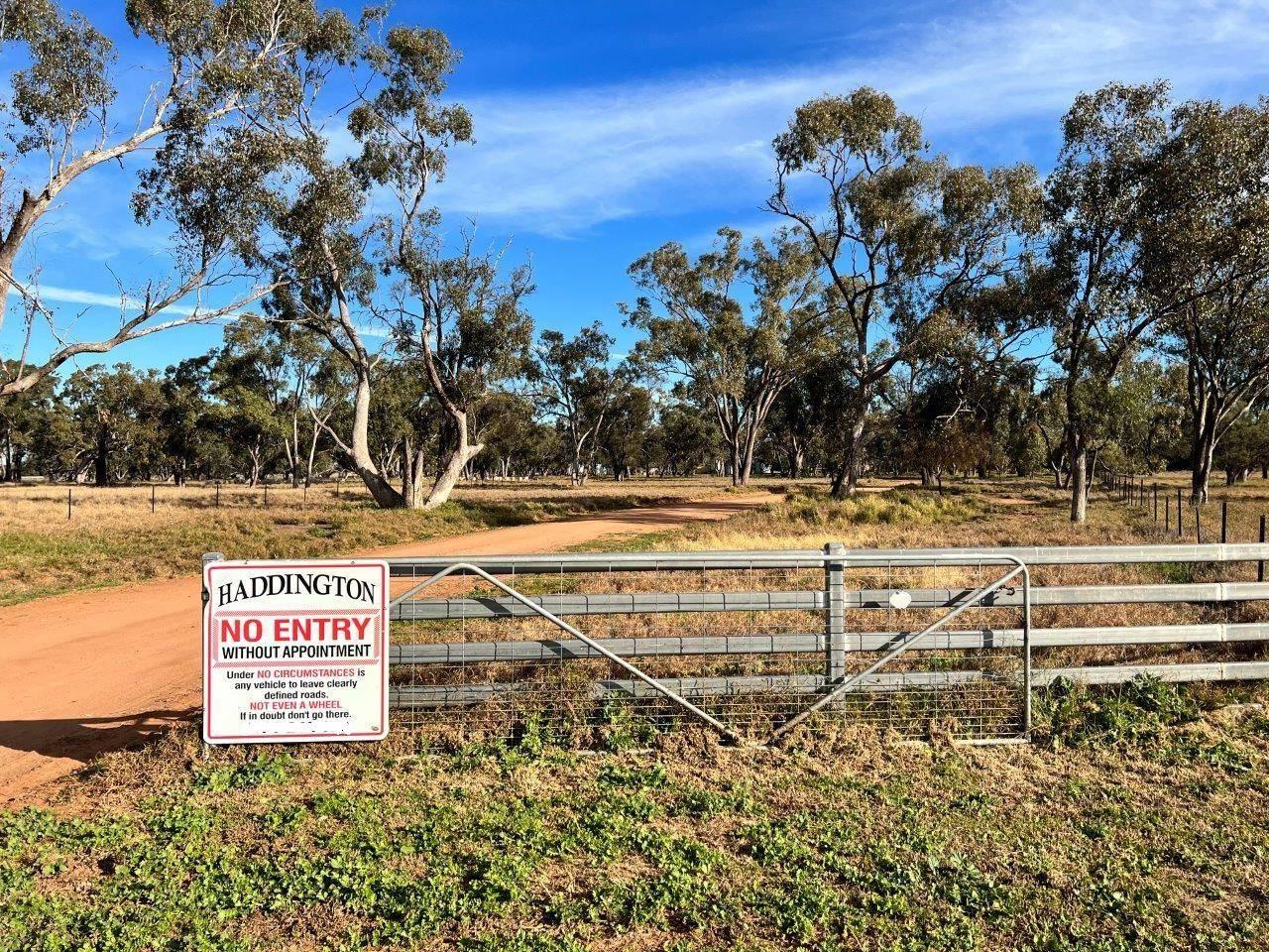 LargeScale Rural Property For Sale Coonamble District NSW