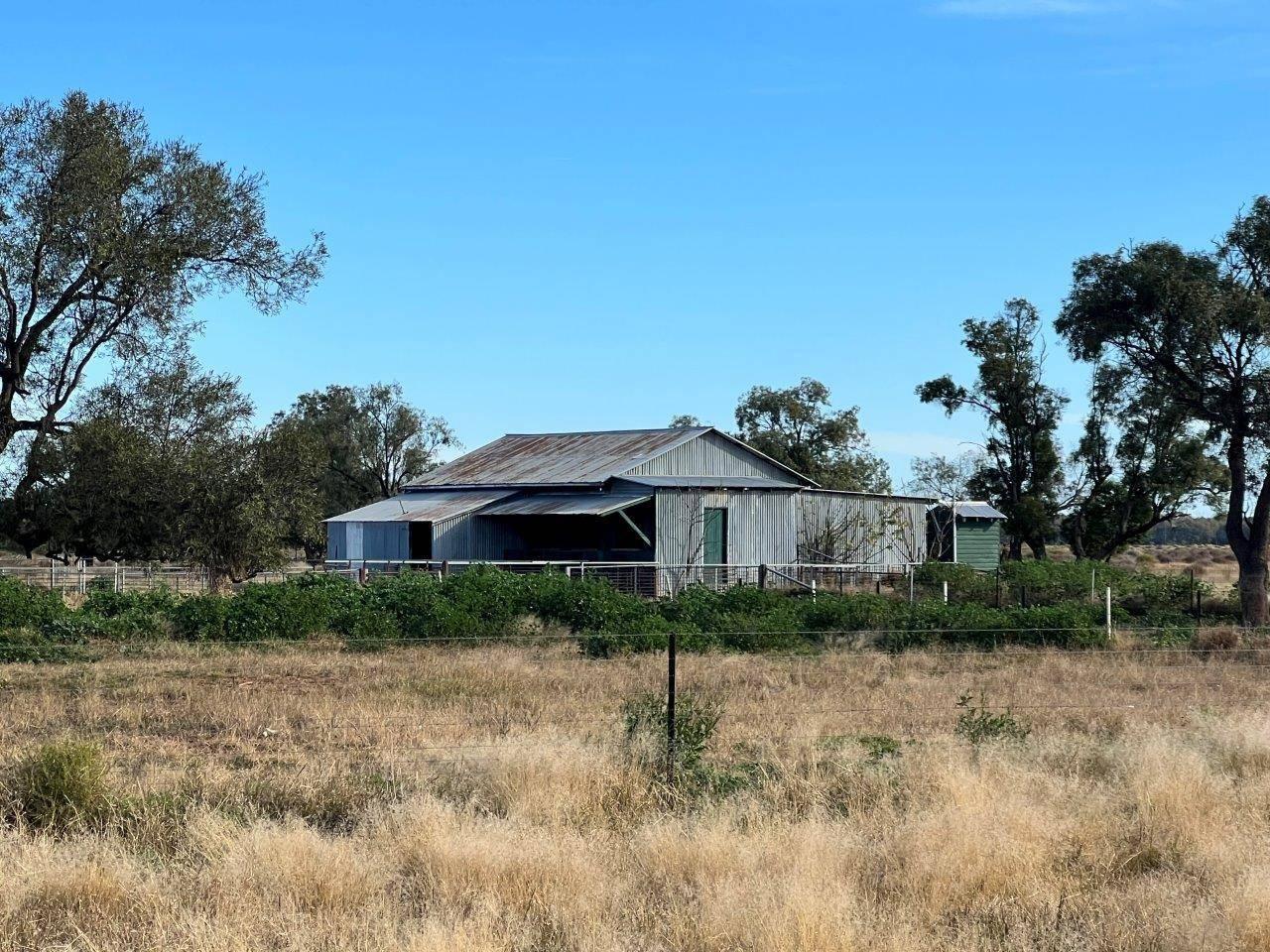 LargeScale Rural Property For Sale Coonamble District NSW