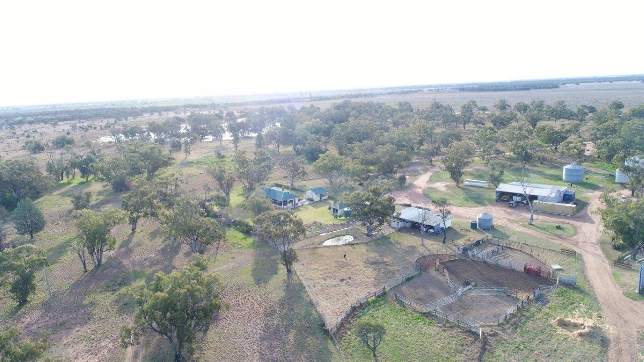 Rural Property For Sale Coonamble NSW