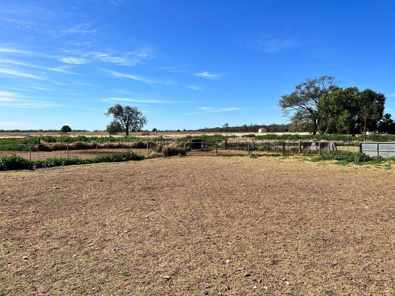 Rural Property For Sale Coonamble NSW