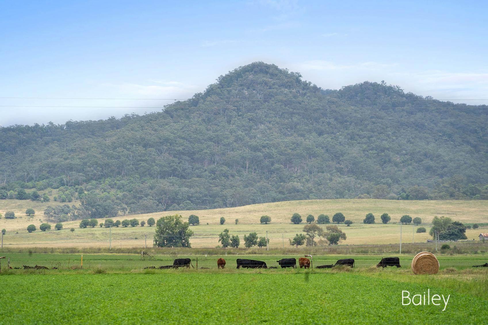 Rural Property For Sale NSW Hunter Region