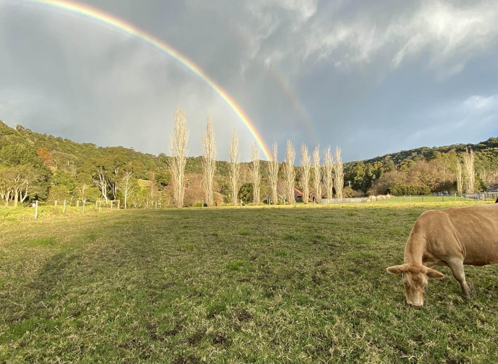 Rural Property For Sale Kiama NSW