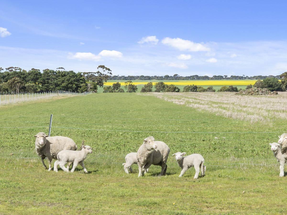 Farms For Sale Victoria