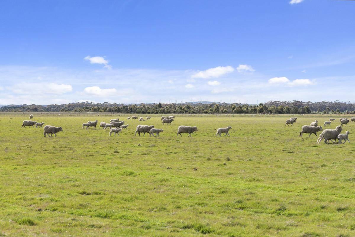 Farms For Sale Victoria