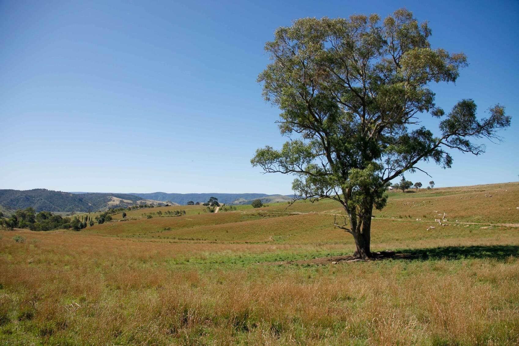 Rural property for sale Southern Highlands NSW