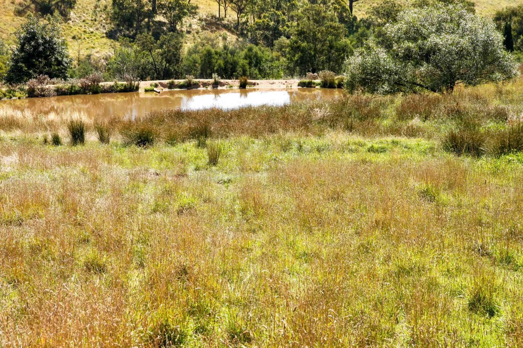 Rural property for sale Southern Highlands NSW