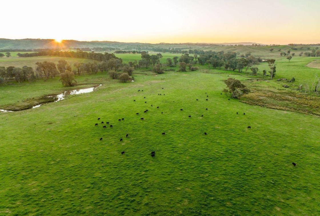 Best Land For Sale NSW