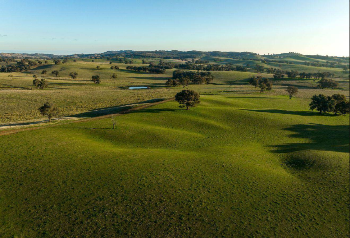 Best Land For Sale NSW