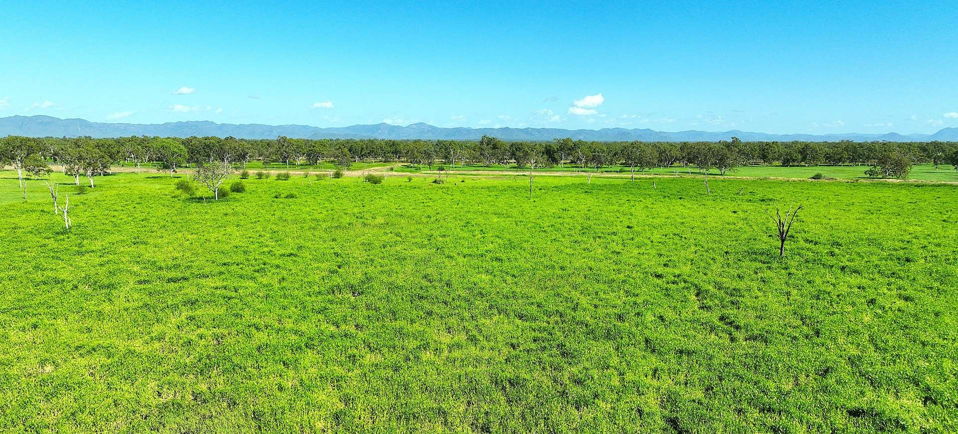 Cattle Property For Sale QLD