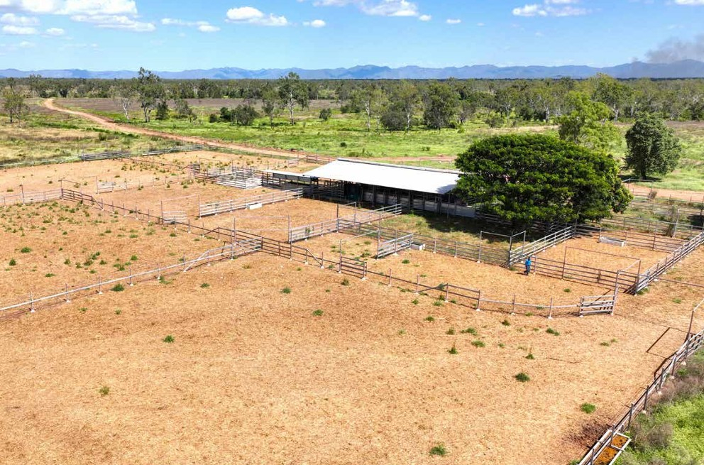 cattle property for sale QLD