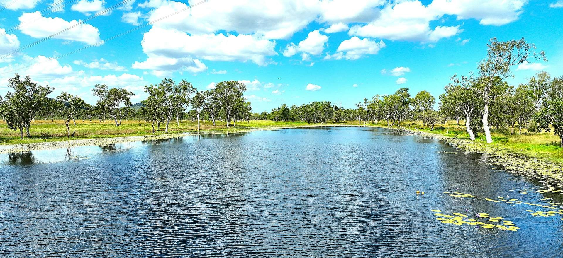 Cattle Property For Sale QLD
