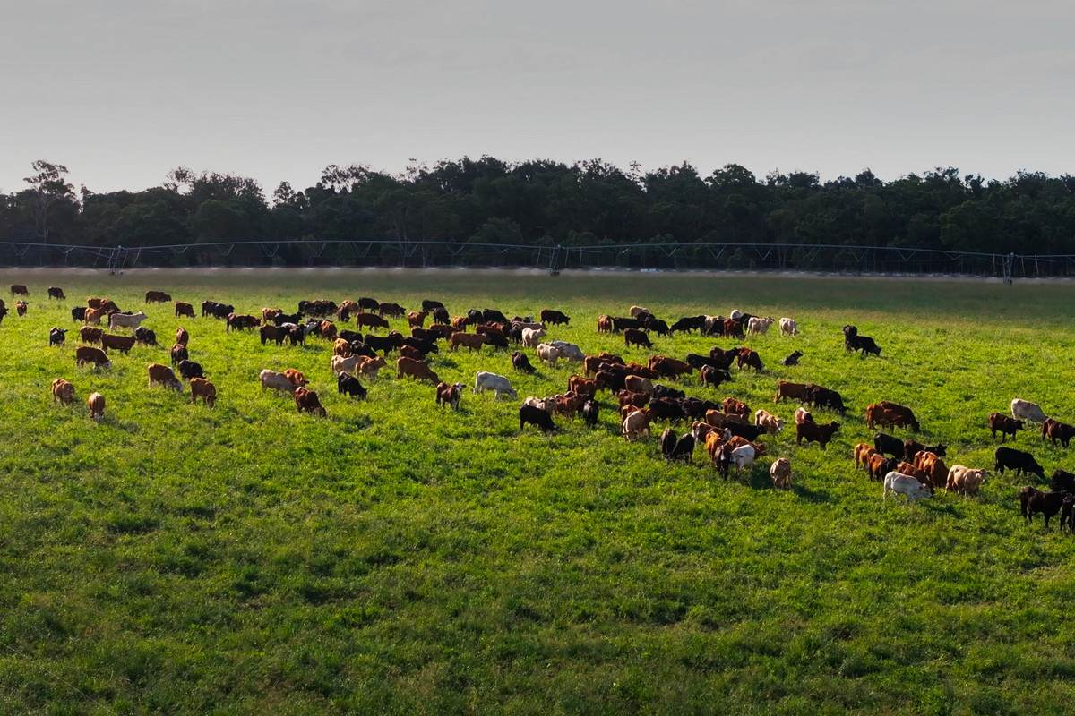 rural property for sale QLD