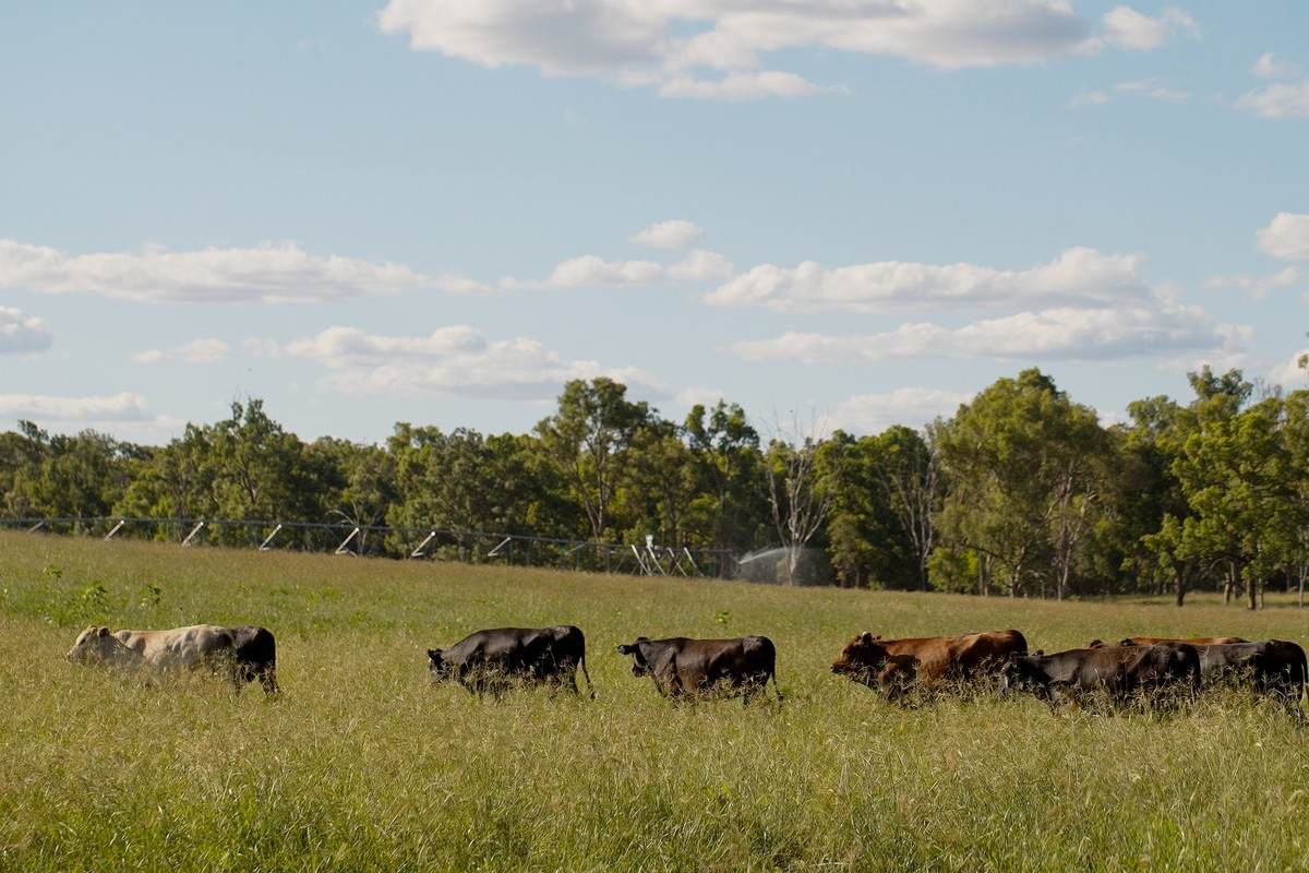 rural property for sale QLD