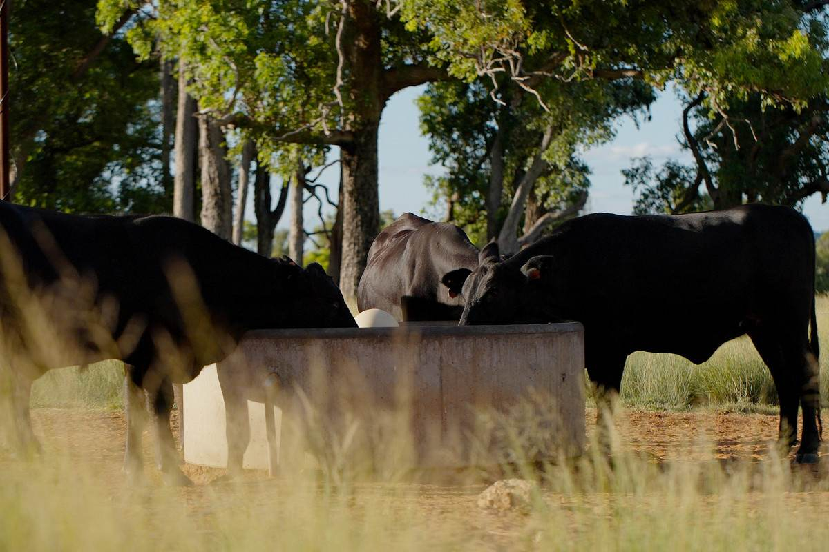 rural property for sale QLD