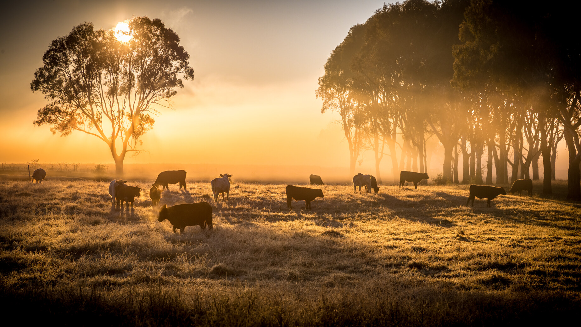 Suncorp Bank Agribusiness Finance