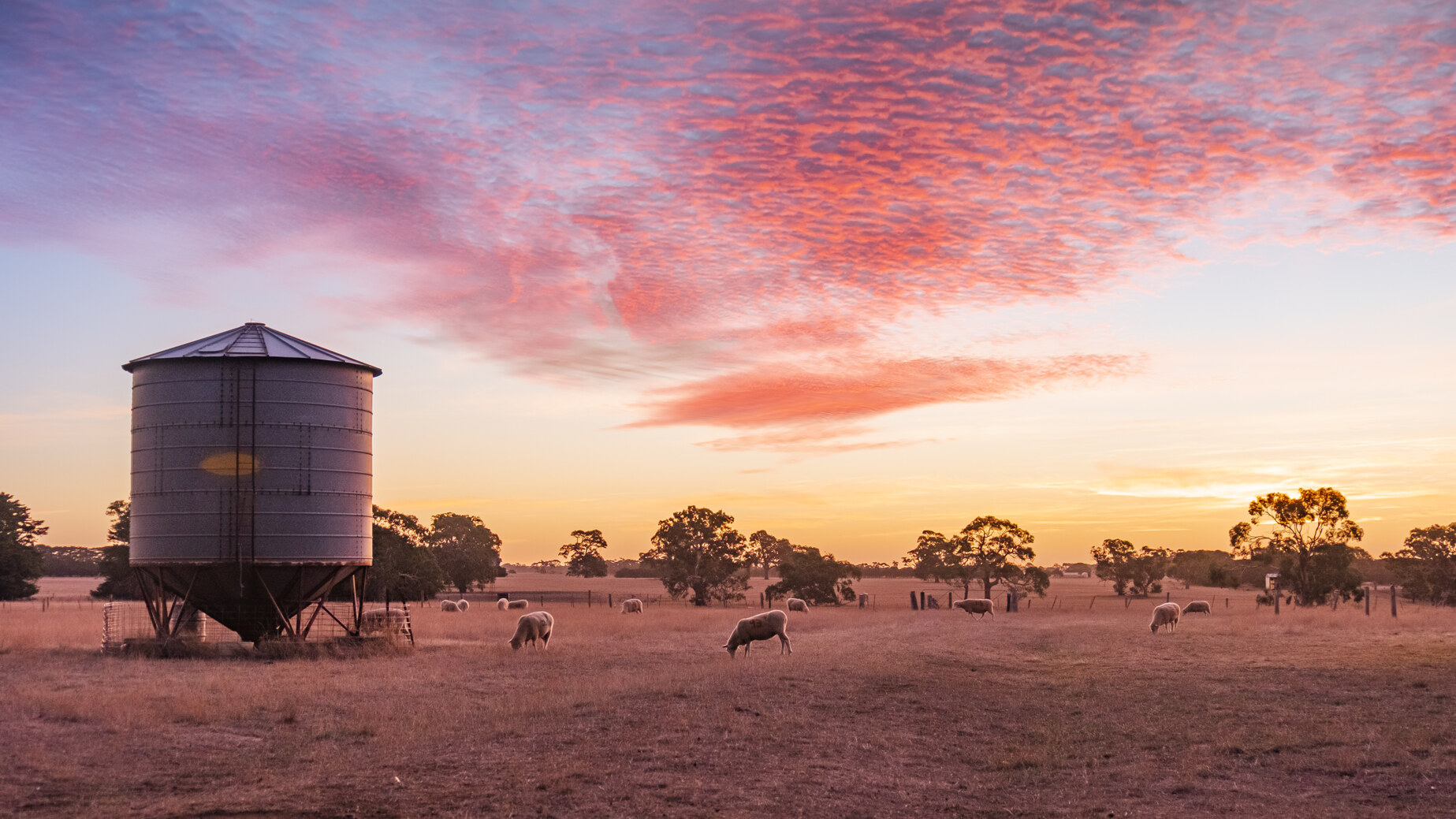 Suncorp Bank Agribusiness Finance