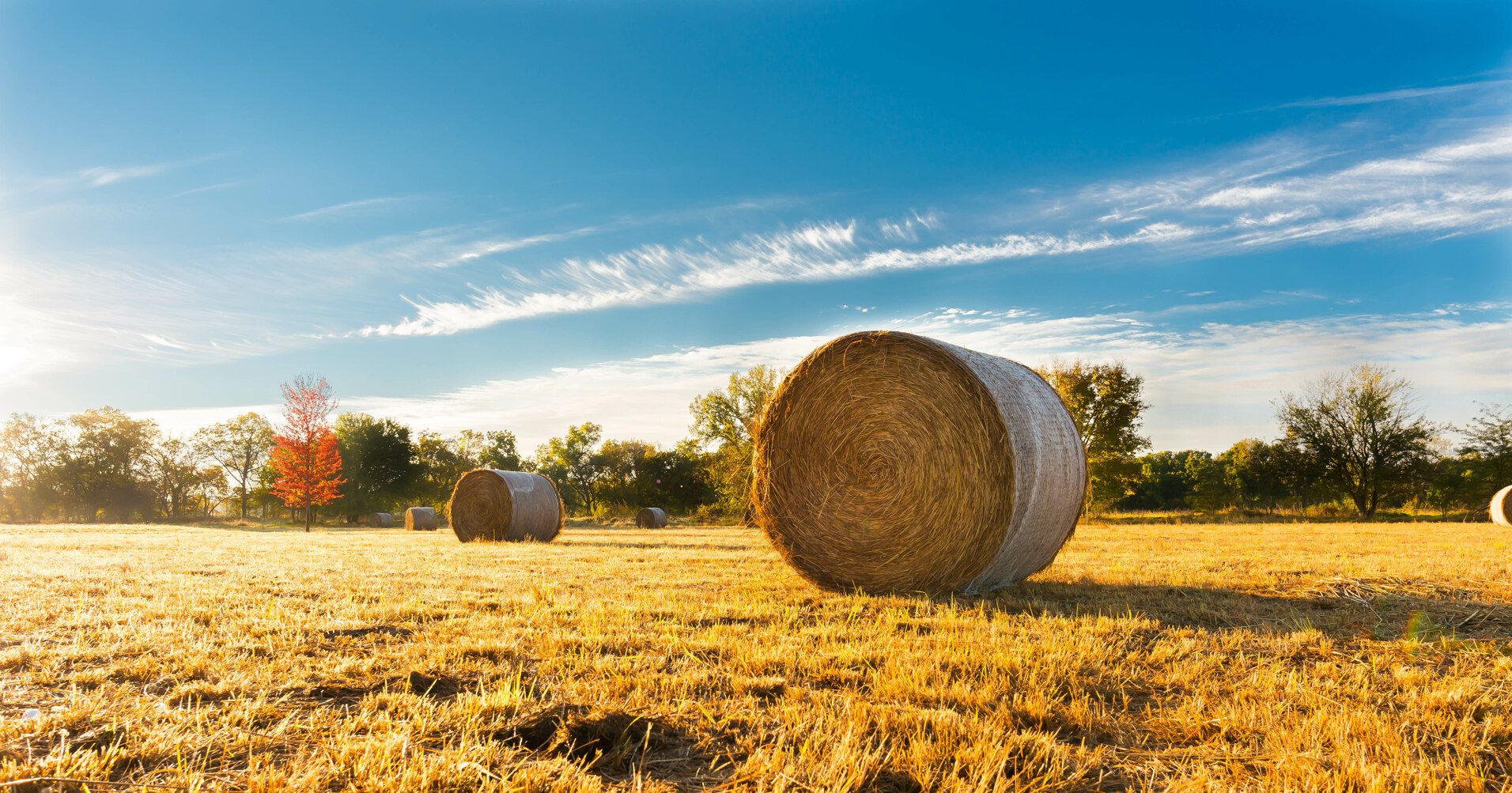 Suncorp Bank Agribusiness Finance